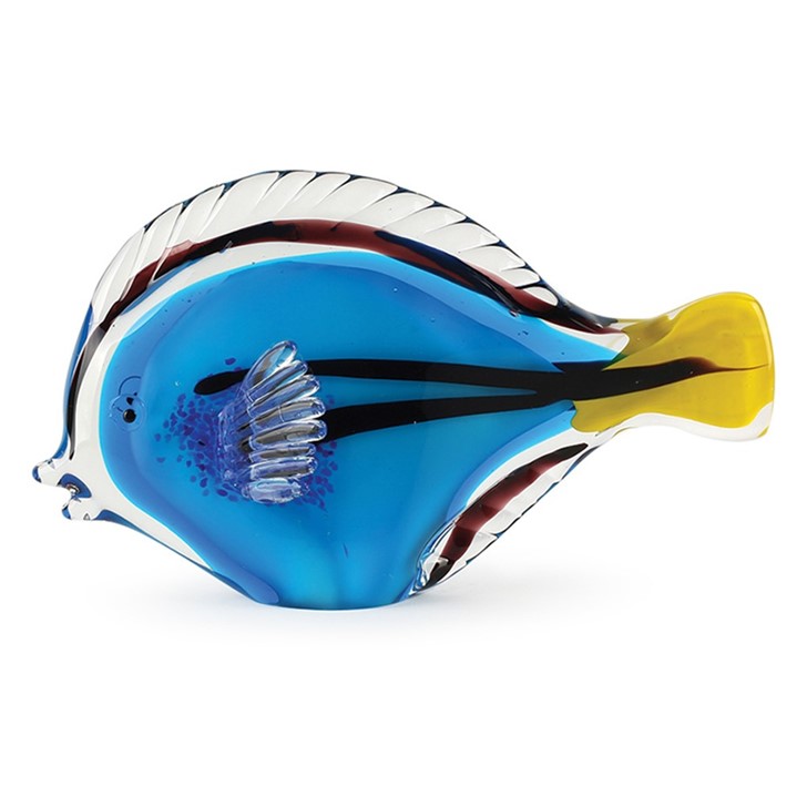 blue tang fish