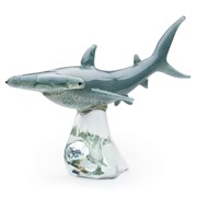 Large Hammerhead Shark 25256