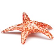 Walking Starfish - Orange Glow 84196OR