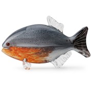 Red Belly Piranha 25019