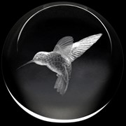 Crystal Paperweight - Hummingbird 51405HB