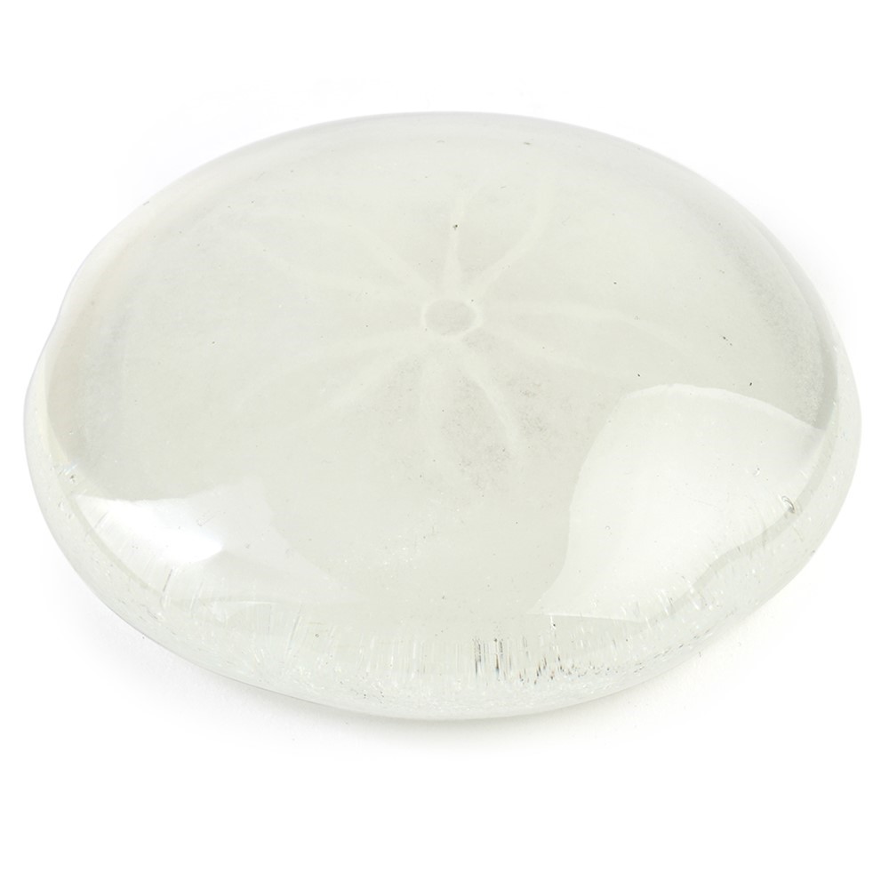 Sand Dollar - White Glow 72104W