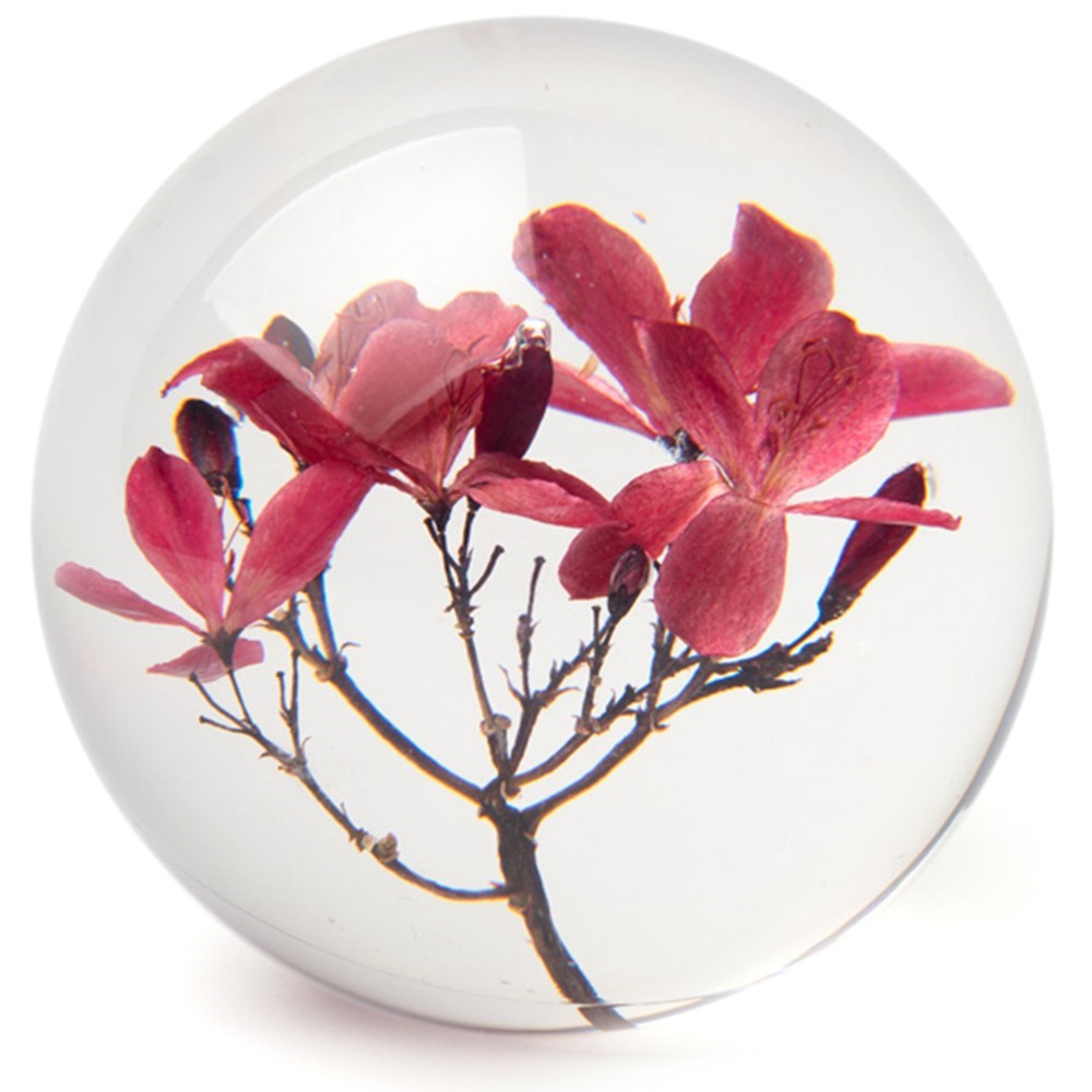 FloraCulture Paperweight - Crab Apple Blossom 6680CA