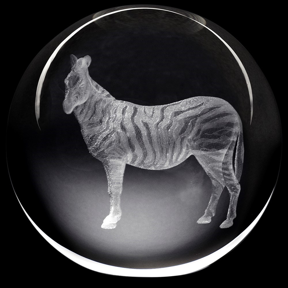 Crystal Paperweight - Zebra 51406ZB