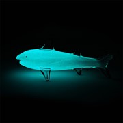 Blacktip Shark - White Glow 25404W View 4